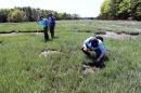 Graduate and undergraduate researchers explore experimental thin-layer sediment plots at Great Bay National Estuarine 研究 Reserve.